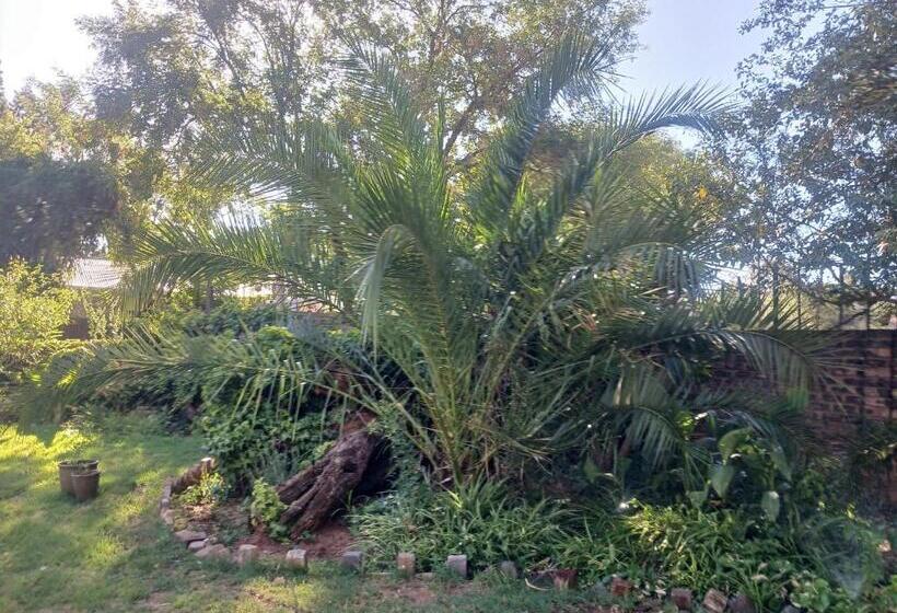 חדר סטנדרט נוף לגינה, Sweet Dreams Guest House Schweizer Reneke