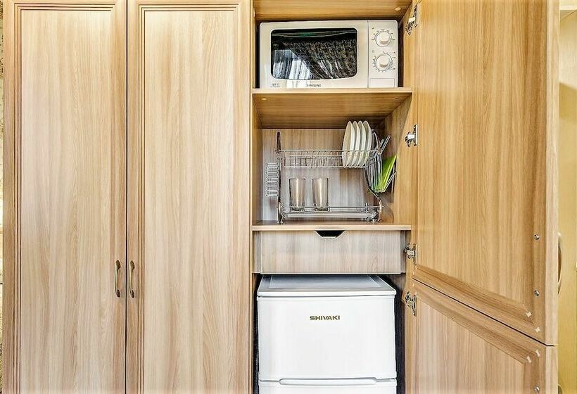 חדר סטנדרט יחיד, Avita Krasnye Vorota