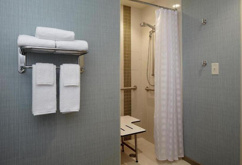 适合残疾人使用的标准间, Hyatt Place Madison/verona