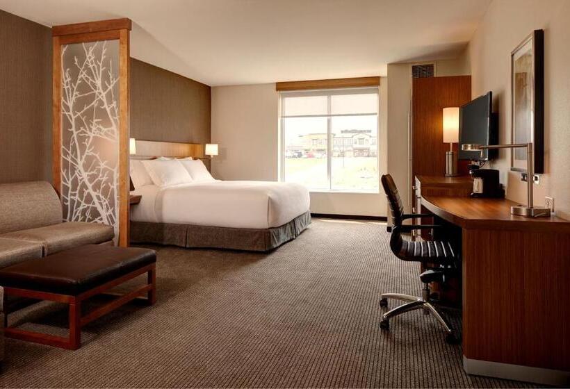غرفة قياسية لذوى الاحتياجات الخاصة, Hyatt Place Madison/verona