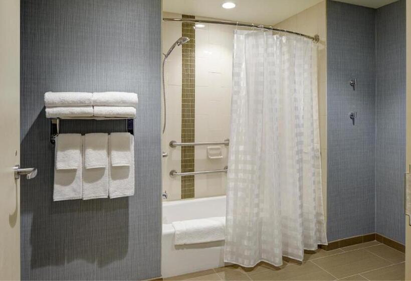 غرفة قياسية سرير كينج لذوى الإحتياجات الخاصة, Hyatt Place Madison/verona