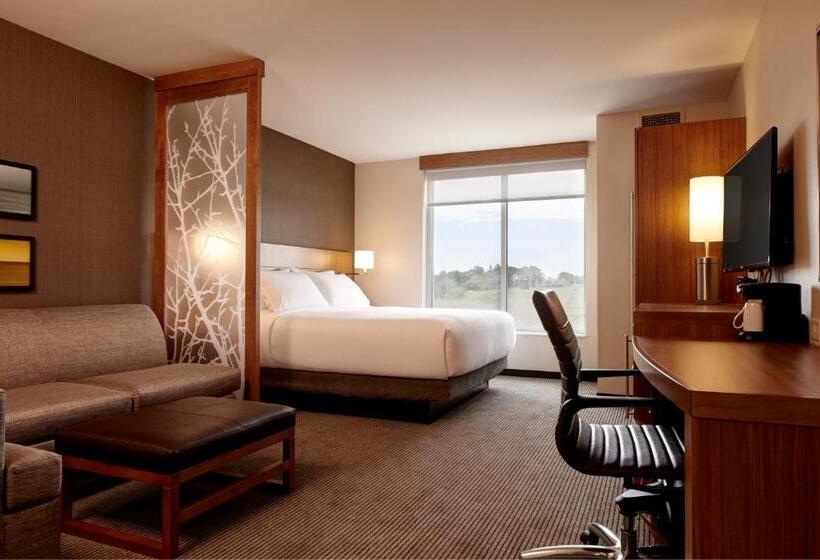 带大床的标准间, Hyatt Place Madison/verona