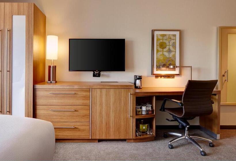 高级寓所标准房间, Hyatt Place Madison/verona