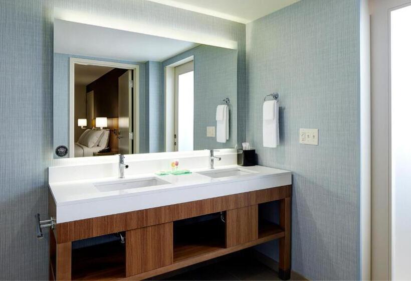 جناح سرير كينج, Hyatt Place Madison/verona