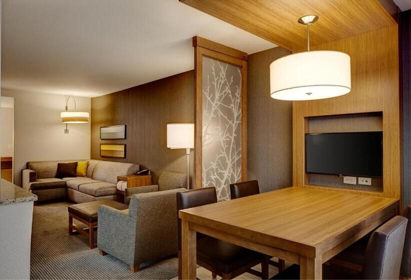 جناح سرير كينج, Hyatt Place Madison/verona