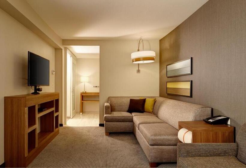 带大床的套房, Hyatt Place Madison/verona