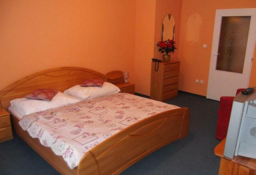 스탠다드 룸, Penzion Lesna