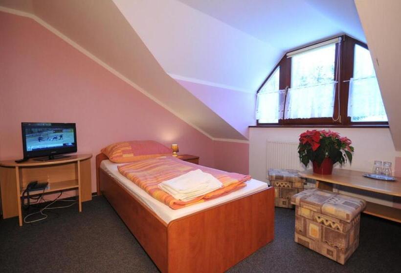 스탠다드 싱글 룸, Penzion Lesna