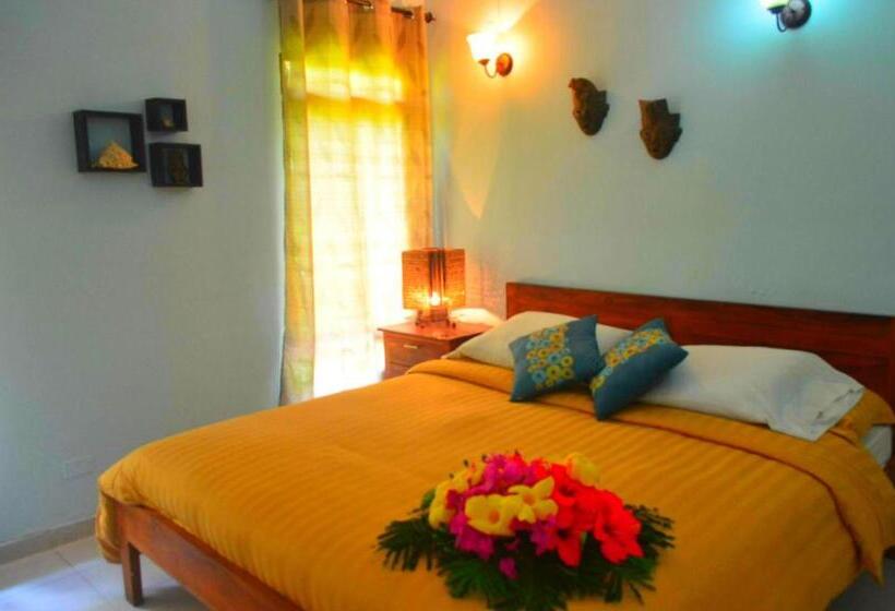 스탠다드 룸 킹사이즈 침대, Playa Tranquilo B&b And Dive Shop