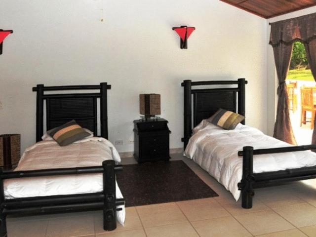 高级大房间, Playa Tranquilo B&b And Dive Shop