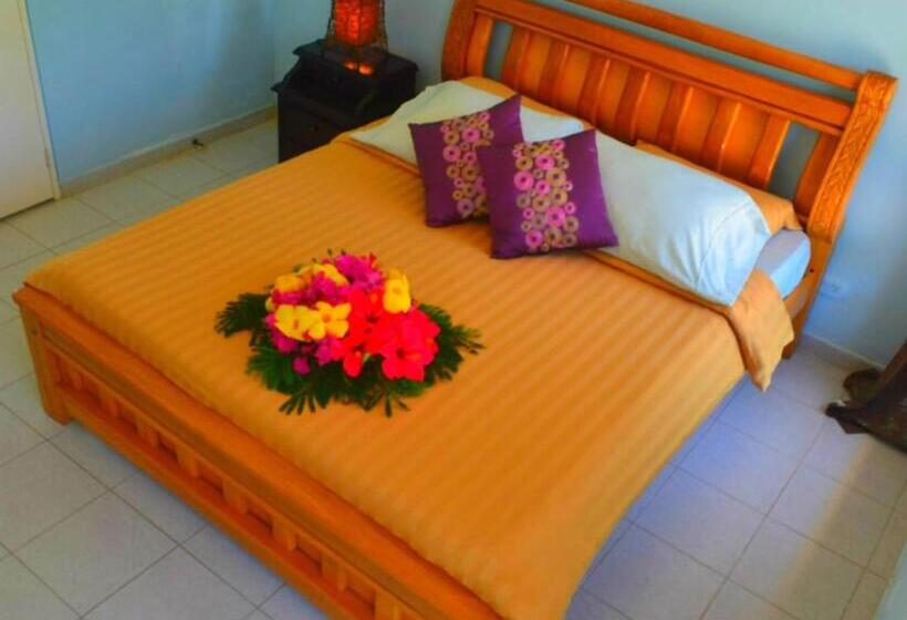 스탠다드 룸 킹사이즈 침대, Playa Tranquilo B&b And Dive Shop