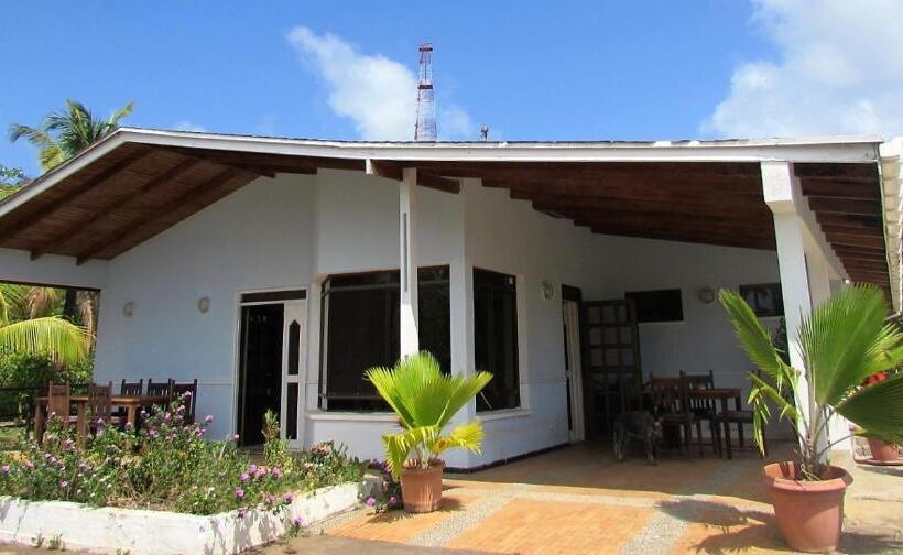 带大床的豪华间, Playa Tranquilo B&b And Dive Shop