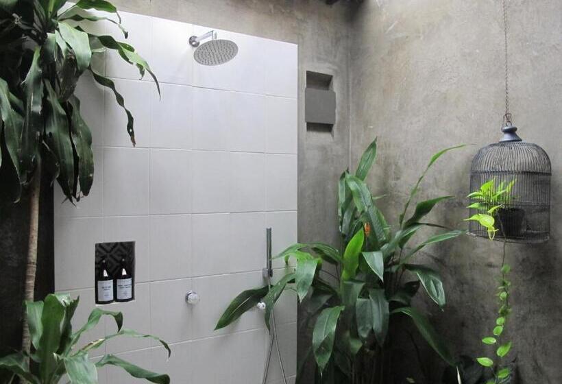 스위트, Waka Hotel Rural