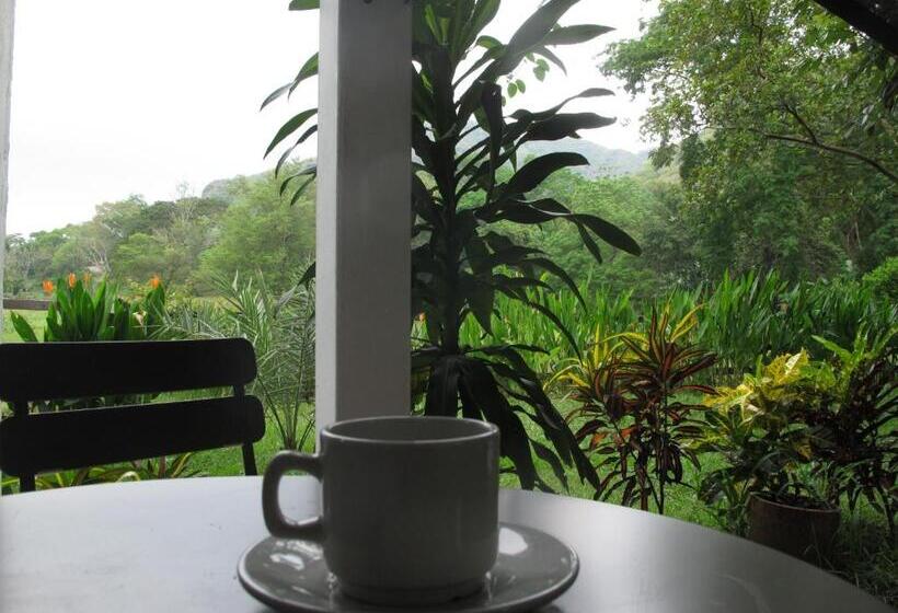 スイート, Waka Hotel Rural