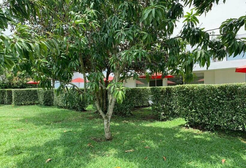 高级大房间, La Masia Hotel Boutique