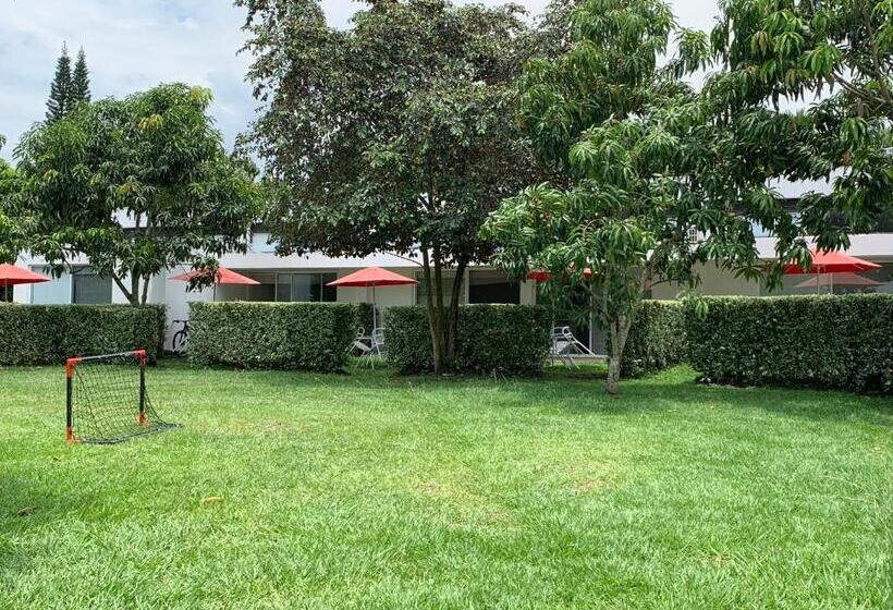 高级大房间, La Masia Hotel Boutique