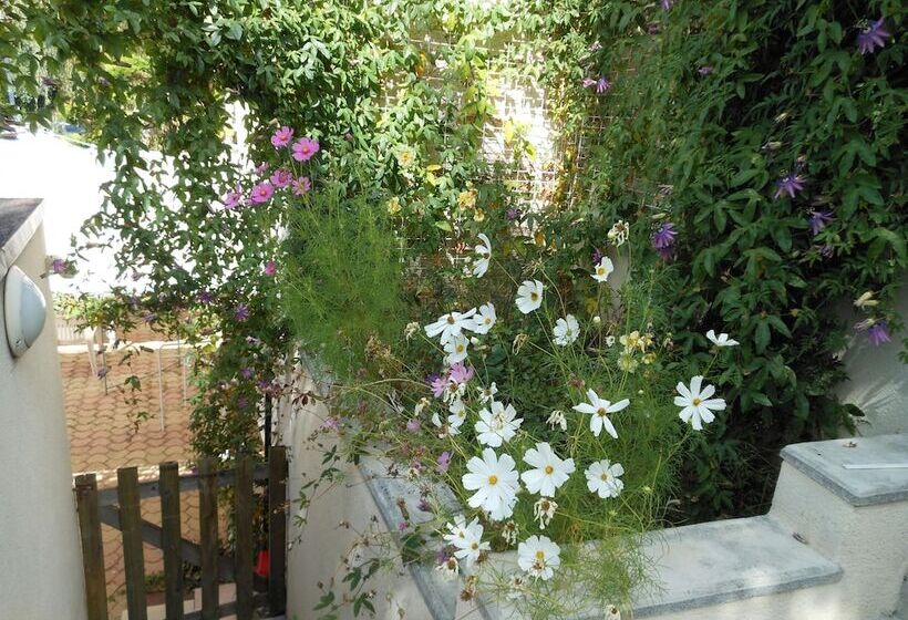 اتاق خانوادگی, Au Soleil D'albi