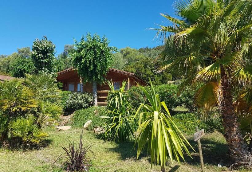 Classic room with balcony, Mare E Monti