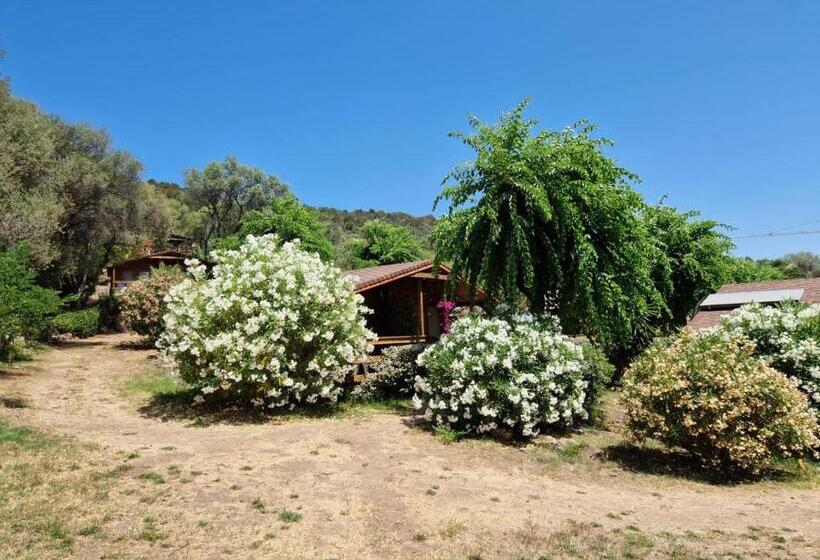 Classic room with balcony, Mare E Monti