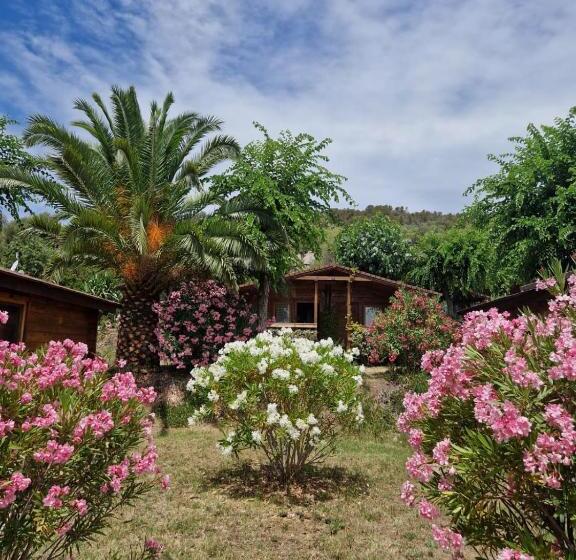 2 Bedrooms Suite Sea View, Mare E Monti