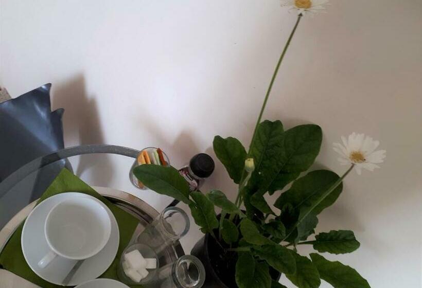 اتاق سوپریور, ô Anges