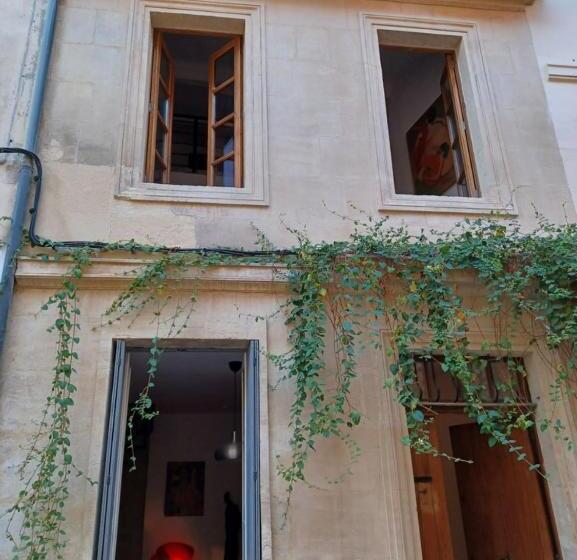 آپارتمان دوبلکس 1 خوابه, ô Anges