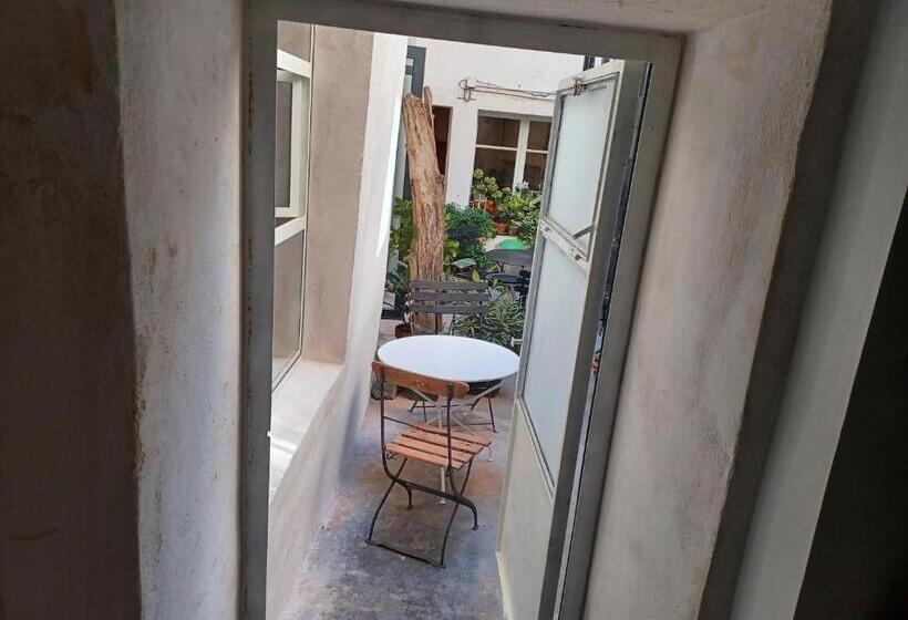 استودیو استاندارد با چشم‌انداز باغ, ô Anges