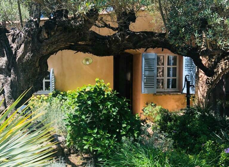 اتاق استاندارد, Domaine Les Mésanges