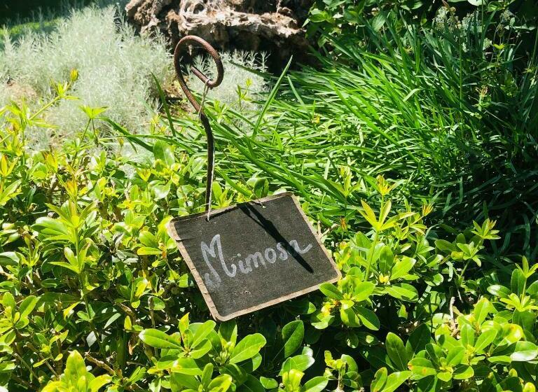 اتاق استاندارد, Domaine Les Mésanges