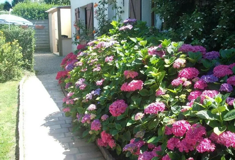 Standard-studio Puutarhanäkymä, Gîte La Mer