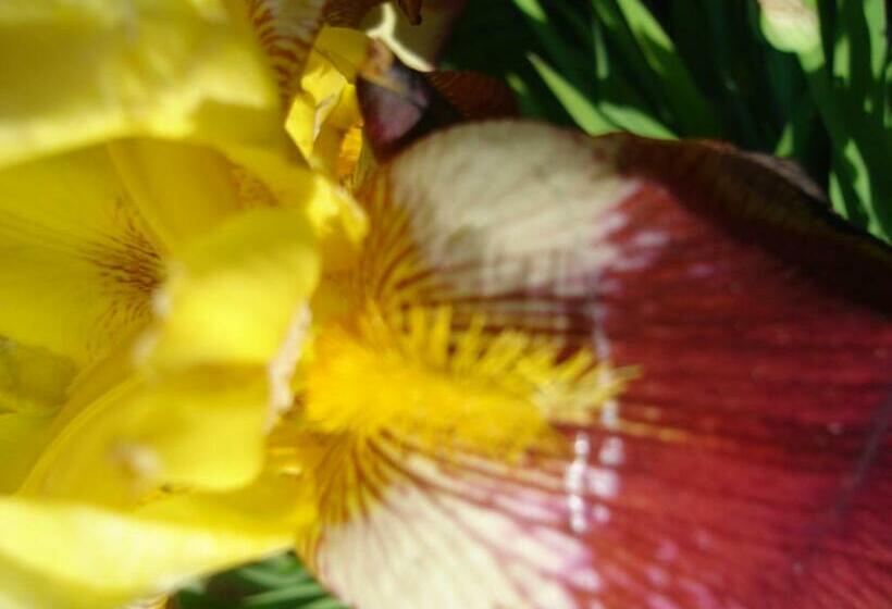 Номер Комфорт, Hôtel Logis La Coraline