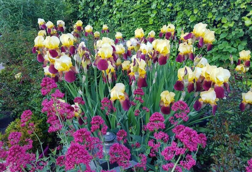 غرفة قياسية رباعية, Hôtel Logis La Coraline