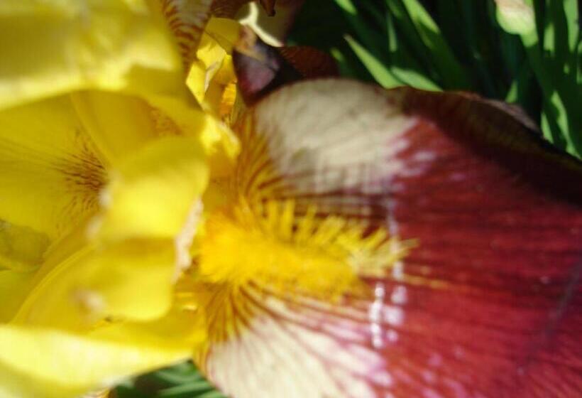 4인용 스탠다드 룸, Hôtel Logis La Coraline