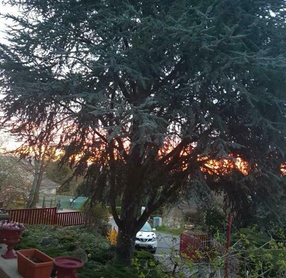 컴포트 룸, Hôtel Logis La Coraline