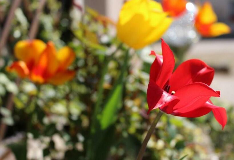 Номер Стандарт, Les Louchardes