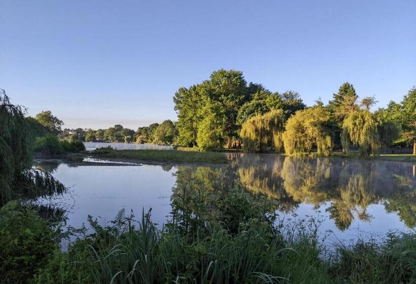 标准工作室, Hôtel Studios Les Acacias