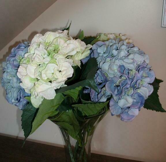 スタンダードルーム, La Closeraie