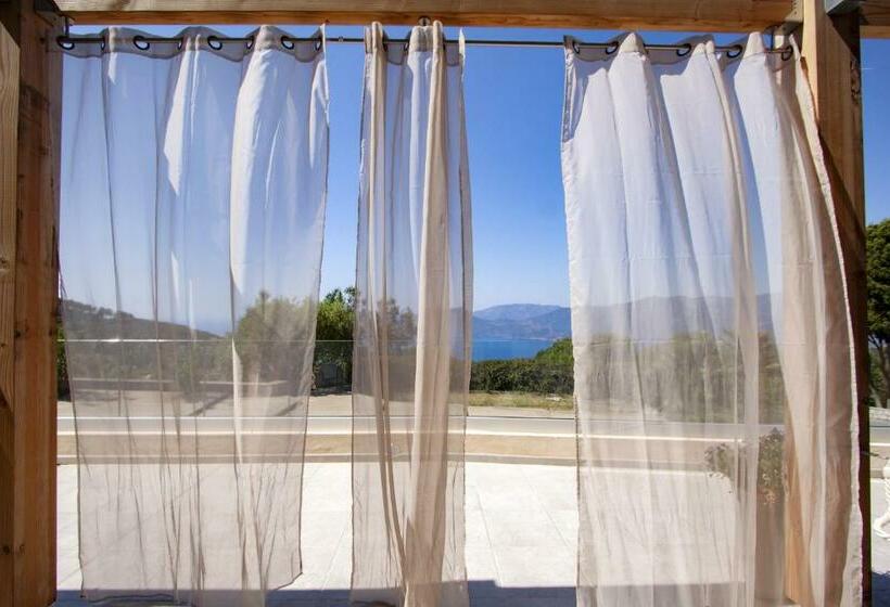 패밀리 룸, Scandola