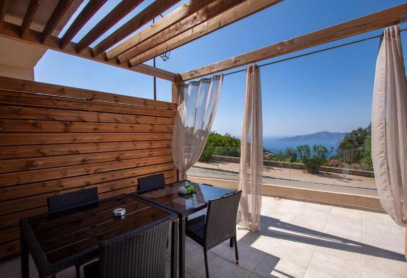 스탠다드 테라스 룸, Scandola