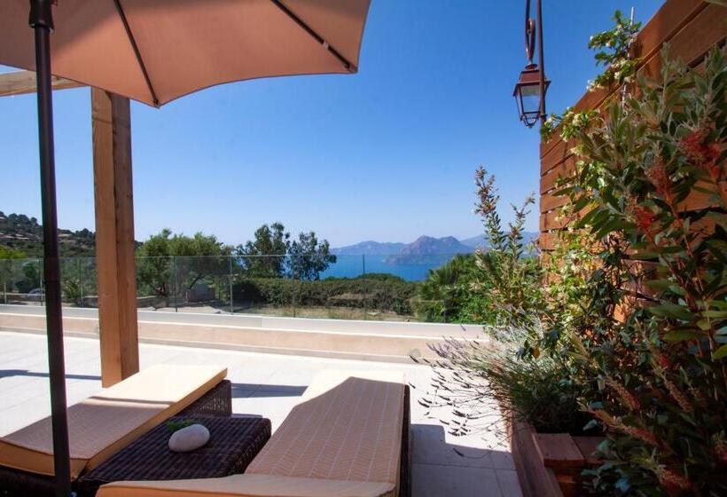 스탠다드 룸, Scandola