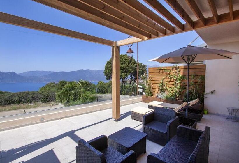 스탠다드 룸, Scandola