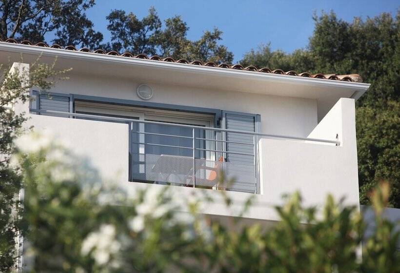 스탠다드 스튜디오, Domaine Bagia Donne