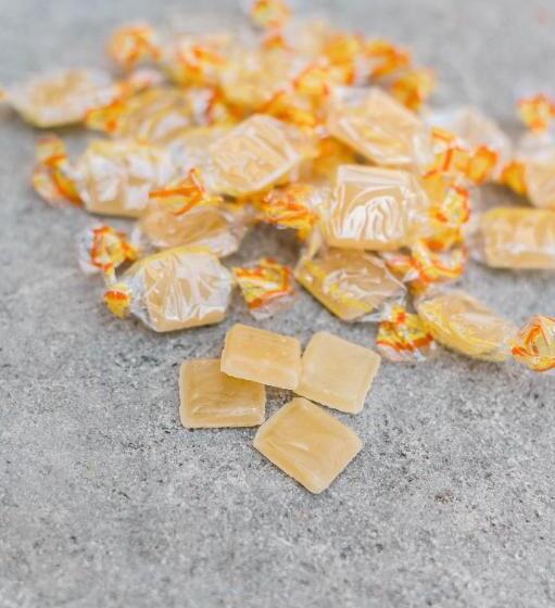 가든 전망 스위트, La Maison Forte