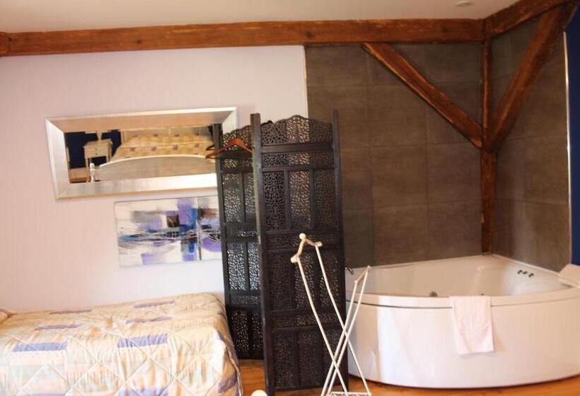 חדק דלוקס עם ג'קוזי, Manoir François 1er