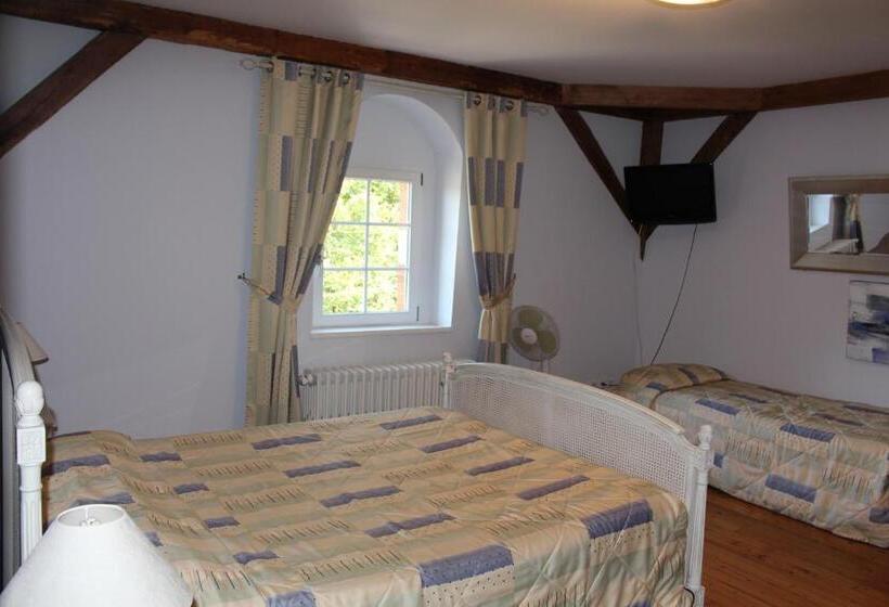 חדק דלוקס עם ג'קוזי, Manoir François 1er