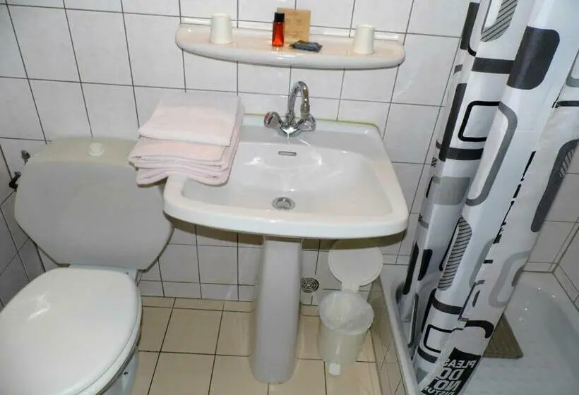 Standard-huone, Hôtel Des Touristes