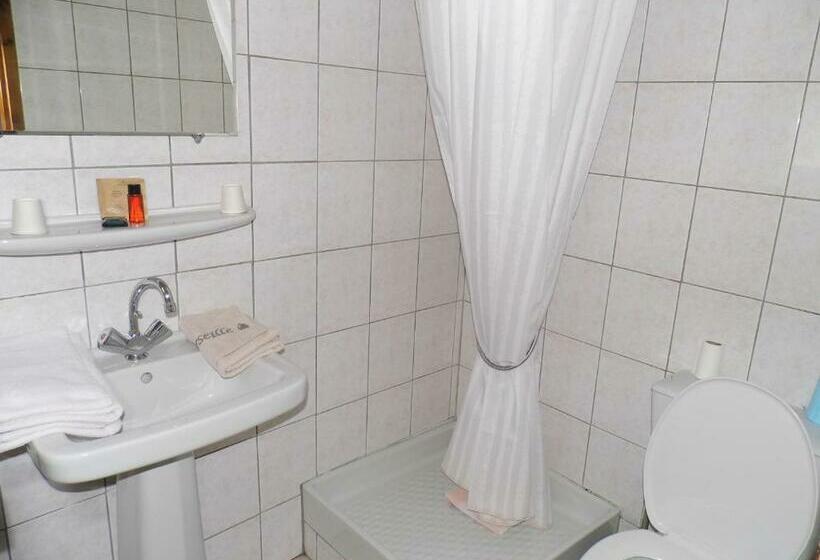 غرفة سوبيريور, Hôtel Des Touristes