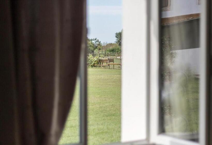 غرفة قياسية, Lou Mas Dou Juge