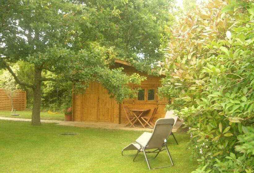 غرفة قياسية, L Oisette