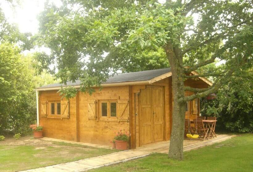 غرفة قياسية, L Oisette